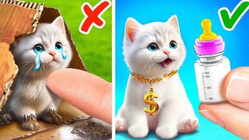 Tiny Kitten’s Soft Pillow Adventure for Little Kids